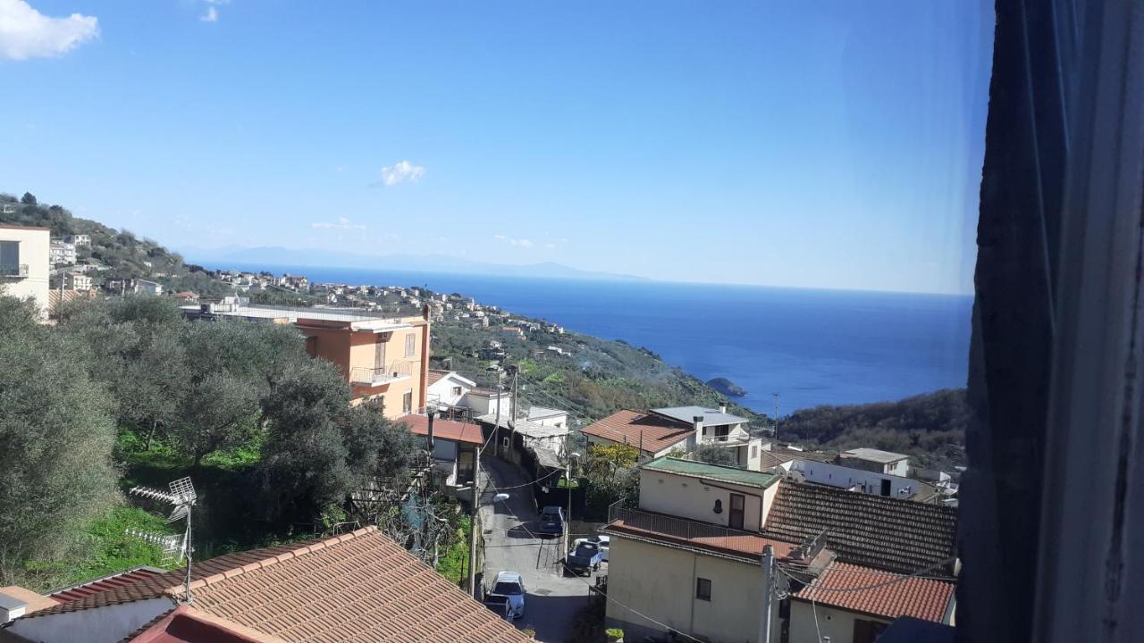 Il Quadrifoglio Villa Massa Lubrense Luaran gambar